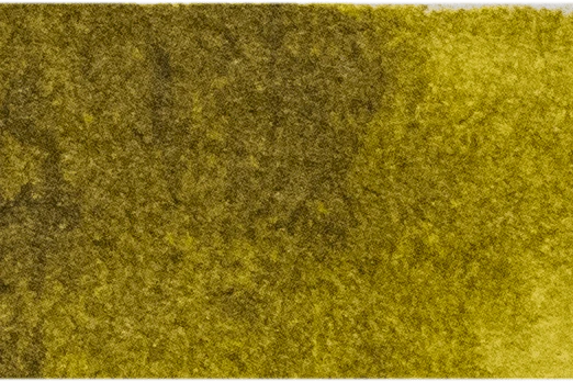 Michael Harding Artists Watercolor 15ml - Green Gold