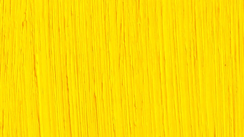 Michael Harding Oil Paint - 402 Cadmium Yellow 40ml