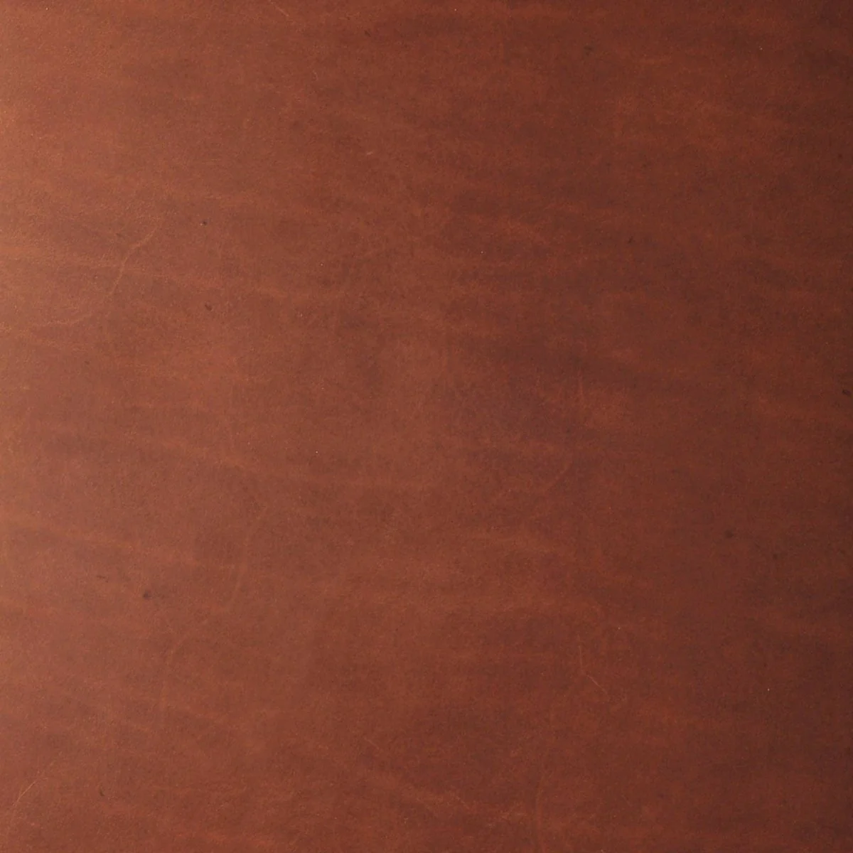 Realeather - Triumph Leather Trim, 9" x 3" - Rustic - Image 3