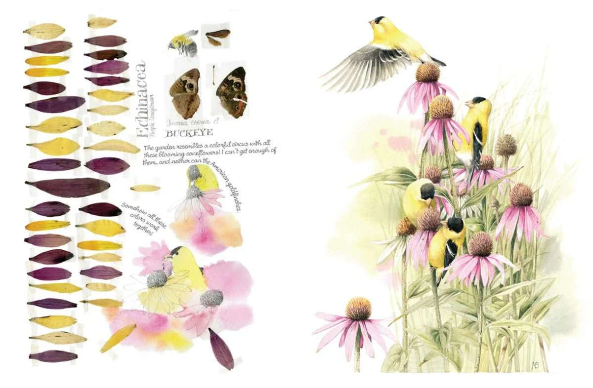 Simon & Schuster - Inspired by Nature Sketchbook by Marjolein Bastin - Paperback; 192 pages / English - Image 2