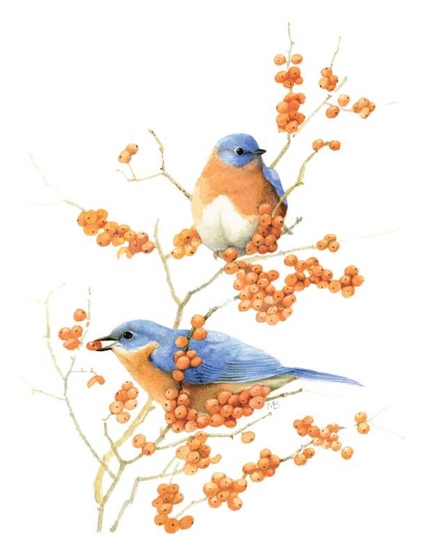 Simon & Schuster - Inspired by Nature Sketchbook by Marjolein Bastin - Paperback; 192 pages / English - Image 6