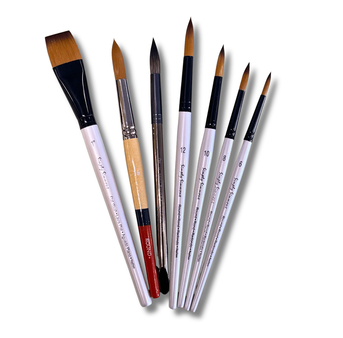 Sudeshna Sengupta Brush Set