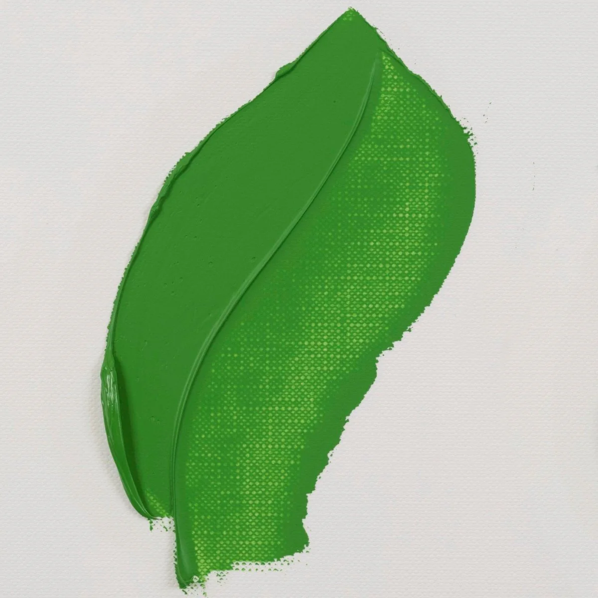 Clearance - van Gogh Oil Paint 40 ml - Permanent Green Medium - Image 2