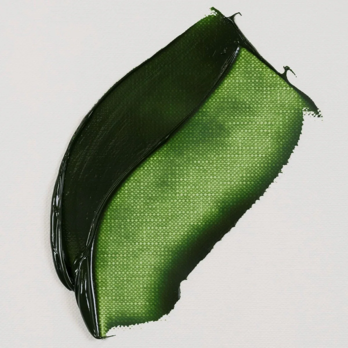 Clearance - van Gogh Oil Paint 40 ml - Sap Green - Image 2