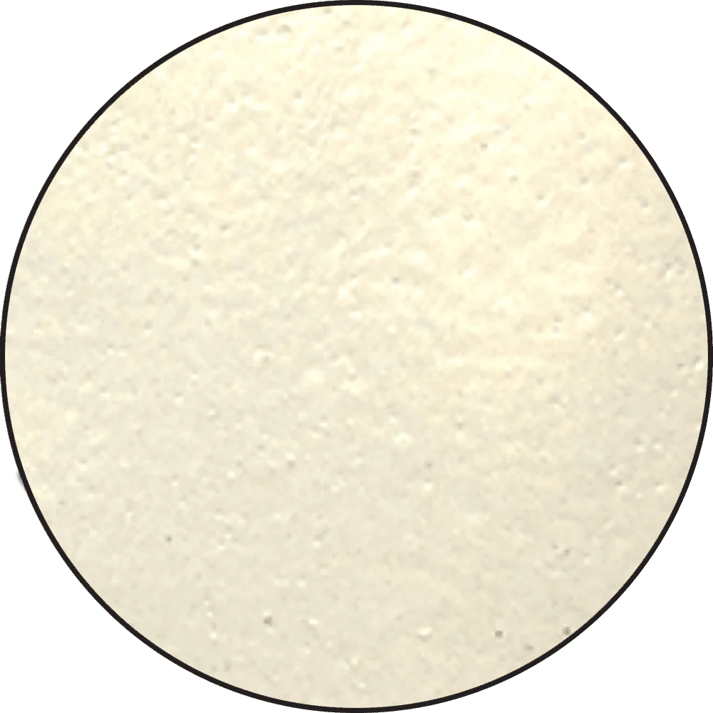 Ranger Embossing Powder 0.5 oz (14 gram) Vintage Pearl - Image 2
