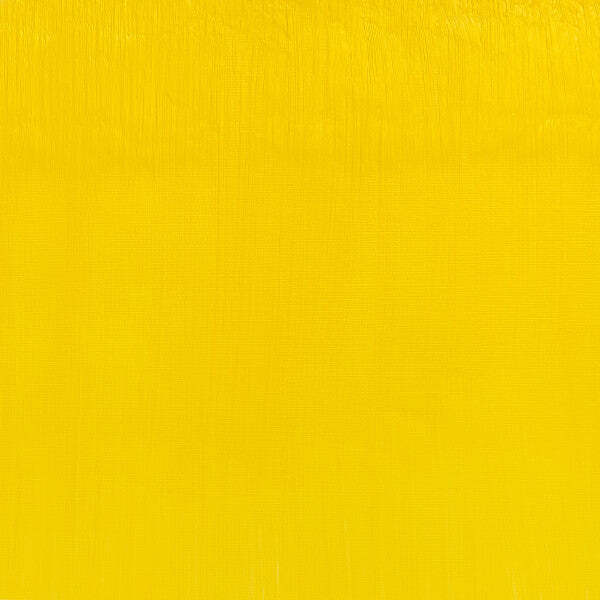 Winsor & Newton Artist Oil Cadmium Free Lemon 37ml - Image 2