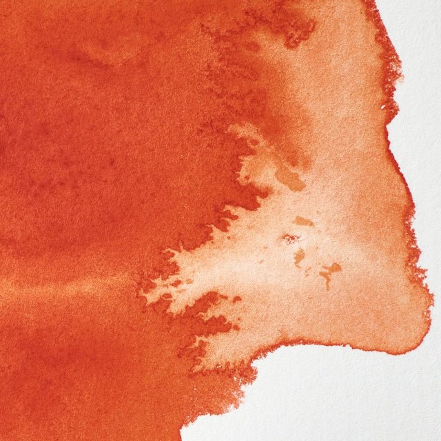 Winsor & Newton Professional Watercolor Transparent Orange 14ml - Image 2