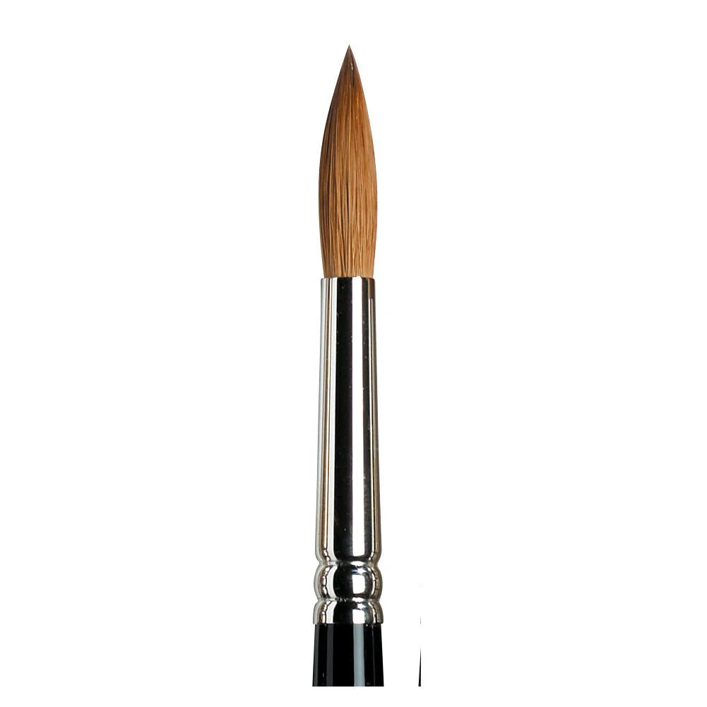 Winsor & Newton Series 7 Watercolor Brush  #8 in Gift Box