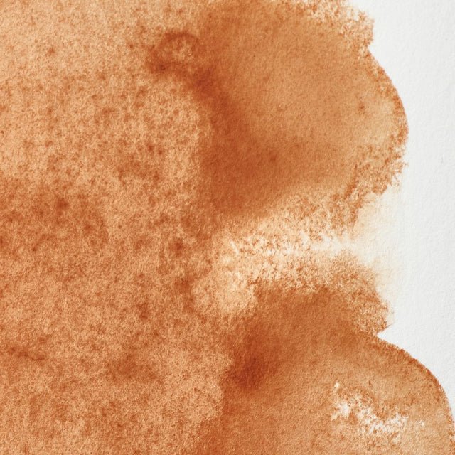 Winsor & Newton Professional Watercolor Brown Ochre 14ml - Image 2