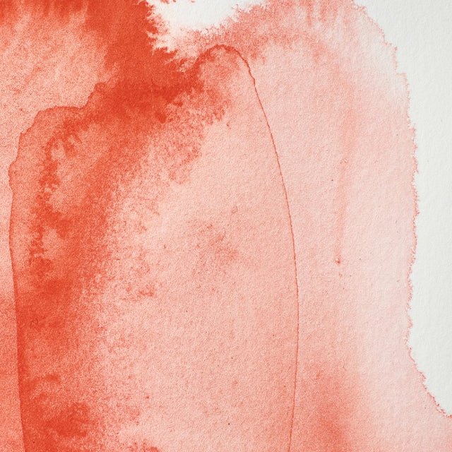 Winsor & Newton Professional Watercolor Cadmium Scarlet 14ml - Image 2