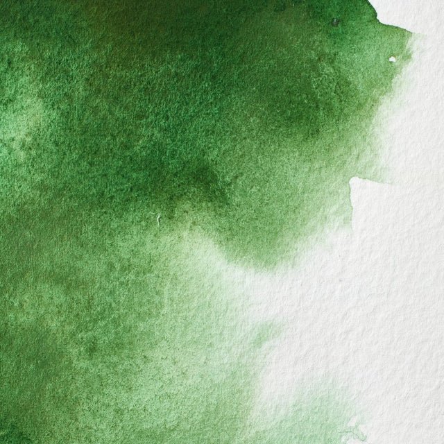 Winsor & Newton Professional Watercolor Hooker's Green 14ml - Image 2