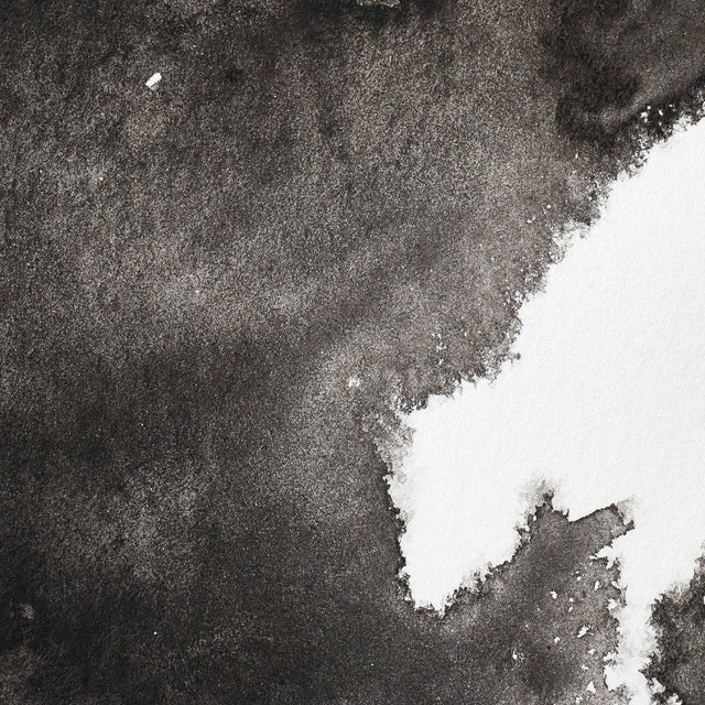Winsor & Newton Professional Watercolor Ivory Black 14ml - Image 2