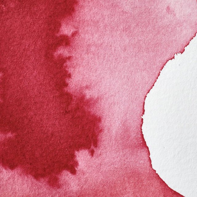 Winsor & Newton Professional Watercolor Permanent Carmine 14ml - Image 2