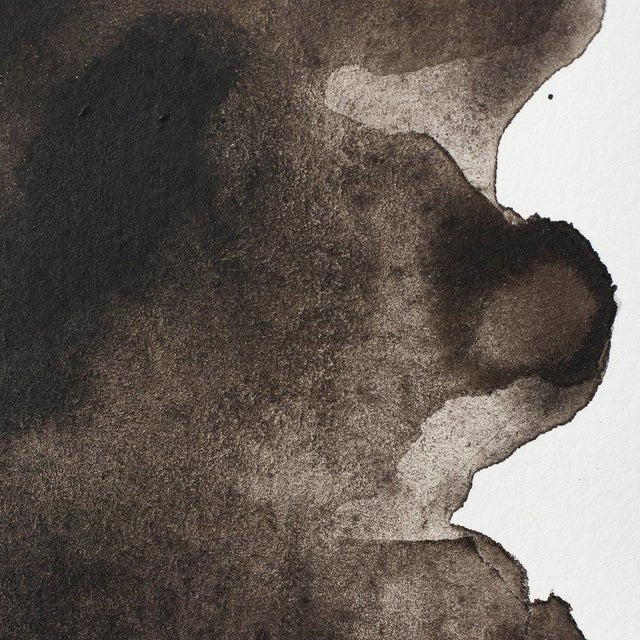 Winsor & Newton Professional Watercolor Sepia 14ml - Image 2