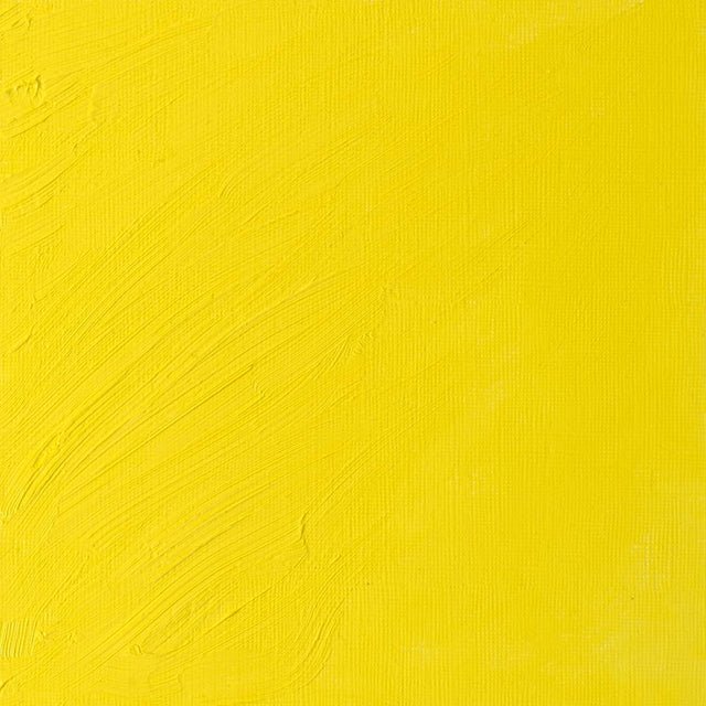 Winsor & Newton Artist Oil Bismuth Yellow 37ml - Image 2