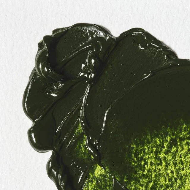 Winsor & Newton Winton Oil Paint -  Sap Green 200 ml - Image 2