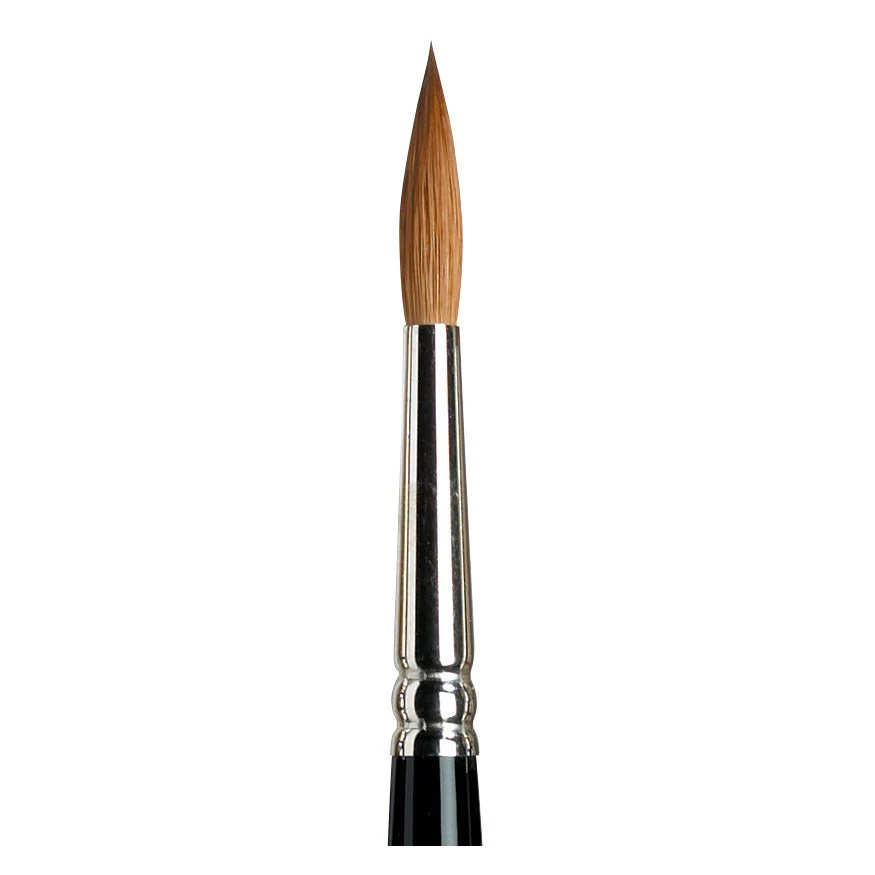 Winsor & Newton Series 7 Watercolor Brush  #6 in Gift Box