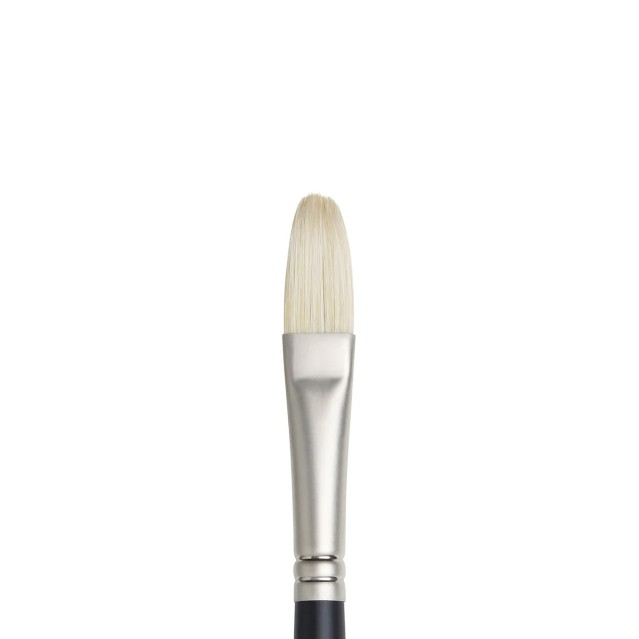 Winsor & Newton Artist Oil Brush Filbert  #8