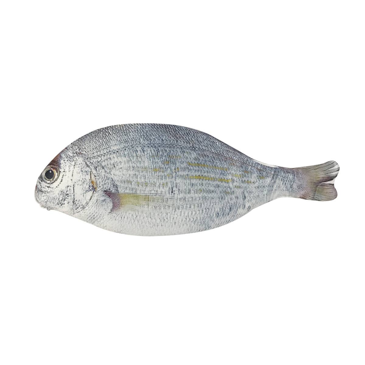 Wrapables Novelty Fish Style Pencil Case - Red - Image 4